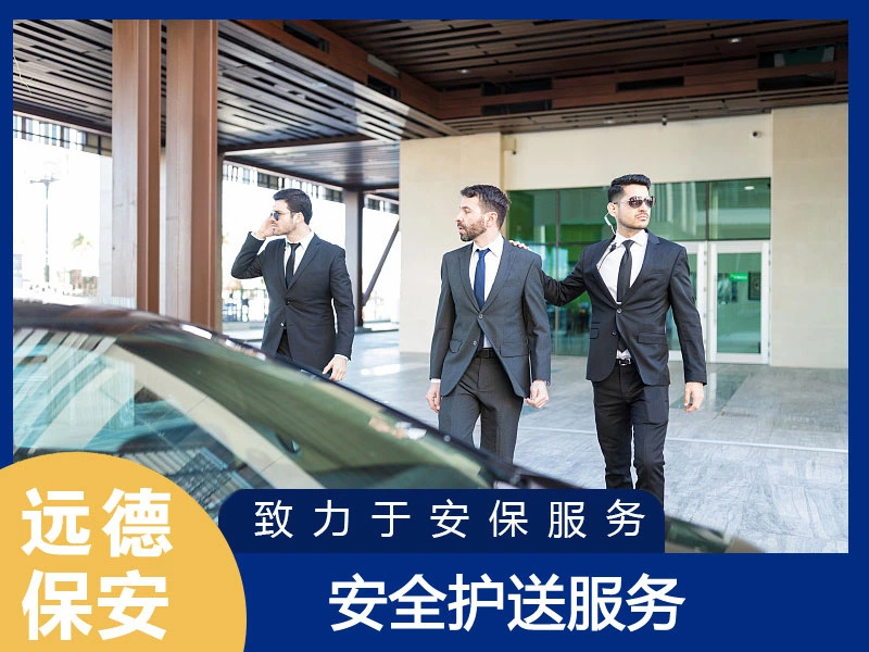 嘉定VIP安全护送服务